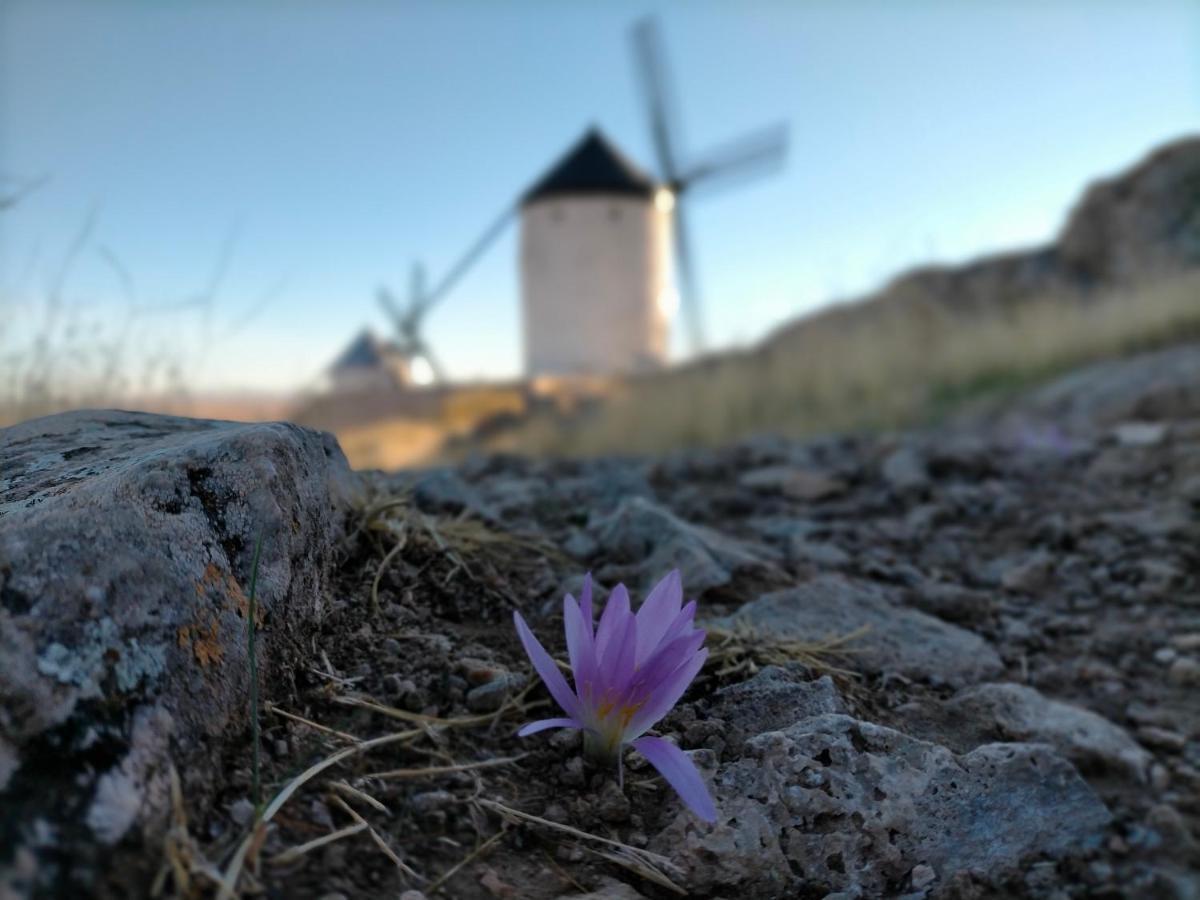 Affittacamere Azafrán Consuegra Esterno foto